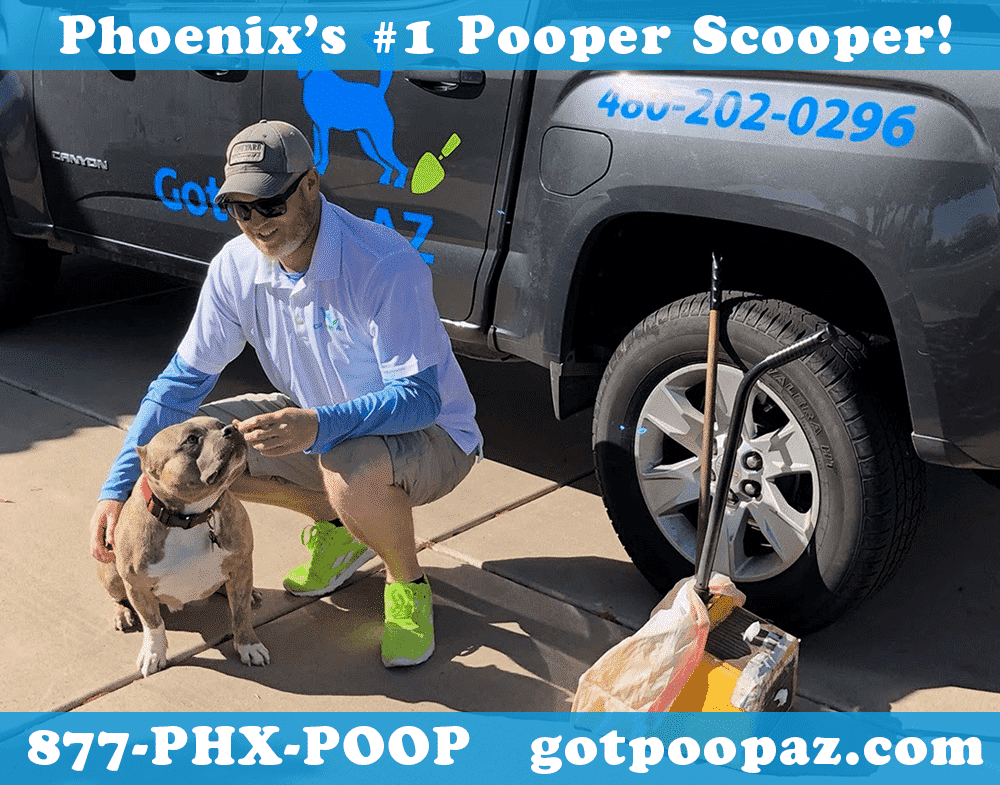 Phoenix Dog Poop Clean Up Service | Got Poop AZ