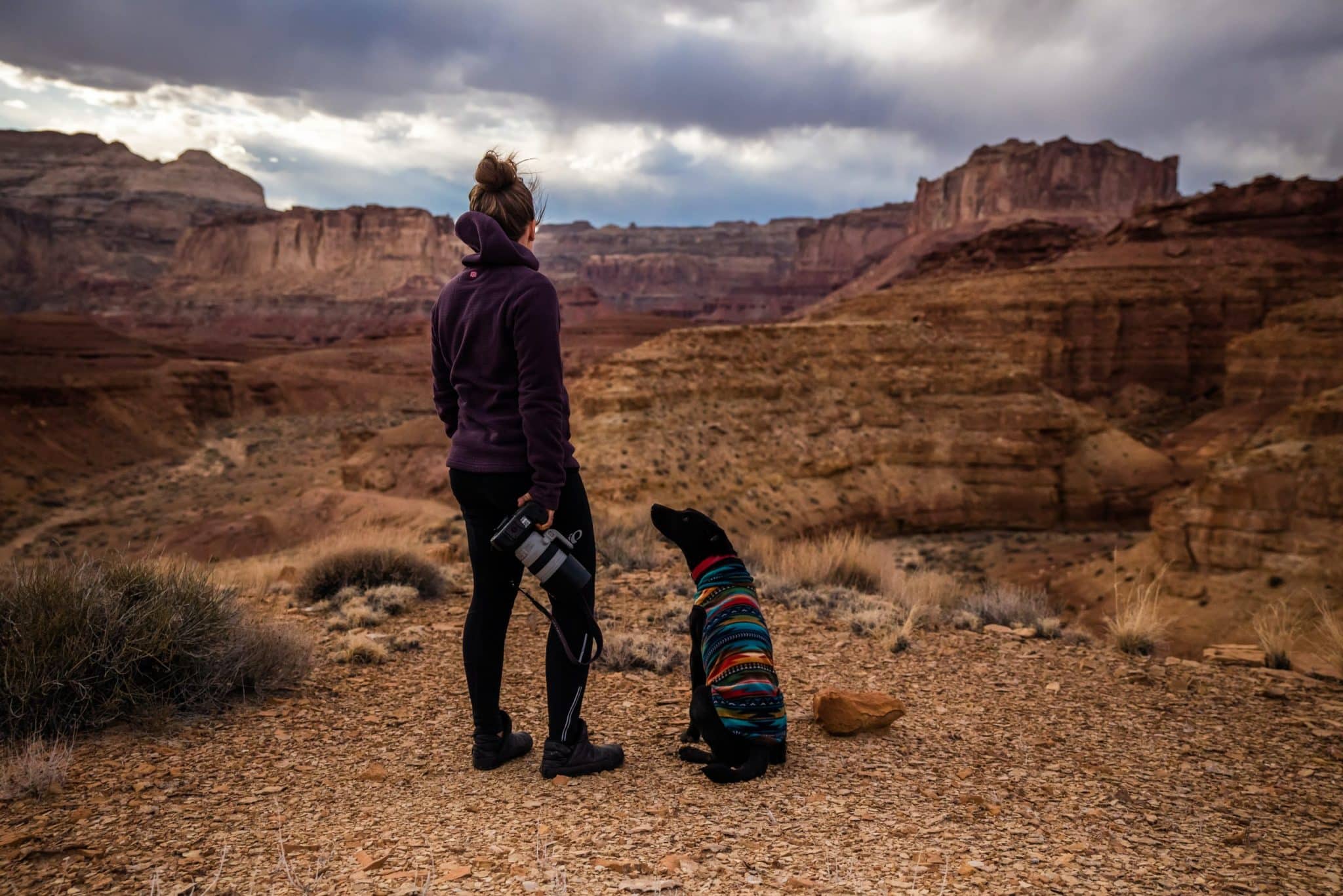 Read more about the article Arizona Dog-friendly Parks and Hiking Trails
