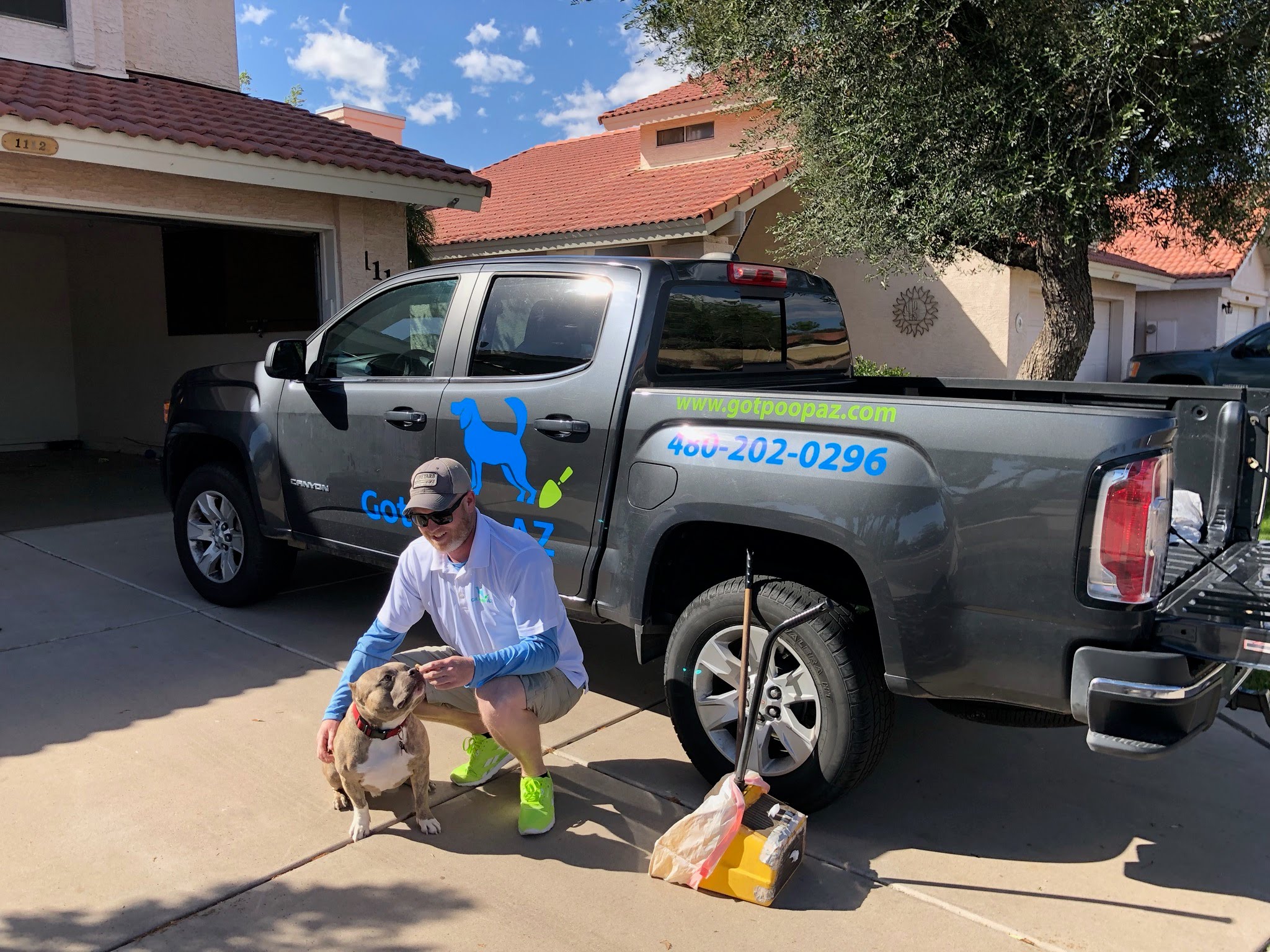 Is Dog Poop Hazardous to My Family or My Pet? Got Poop AZ