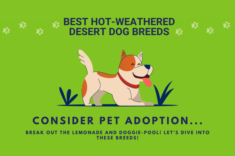 Read more about the article Best Hot-Weathered Desert Dog Breeds