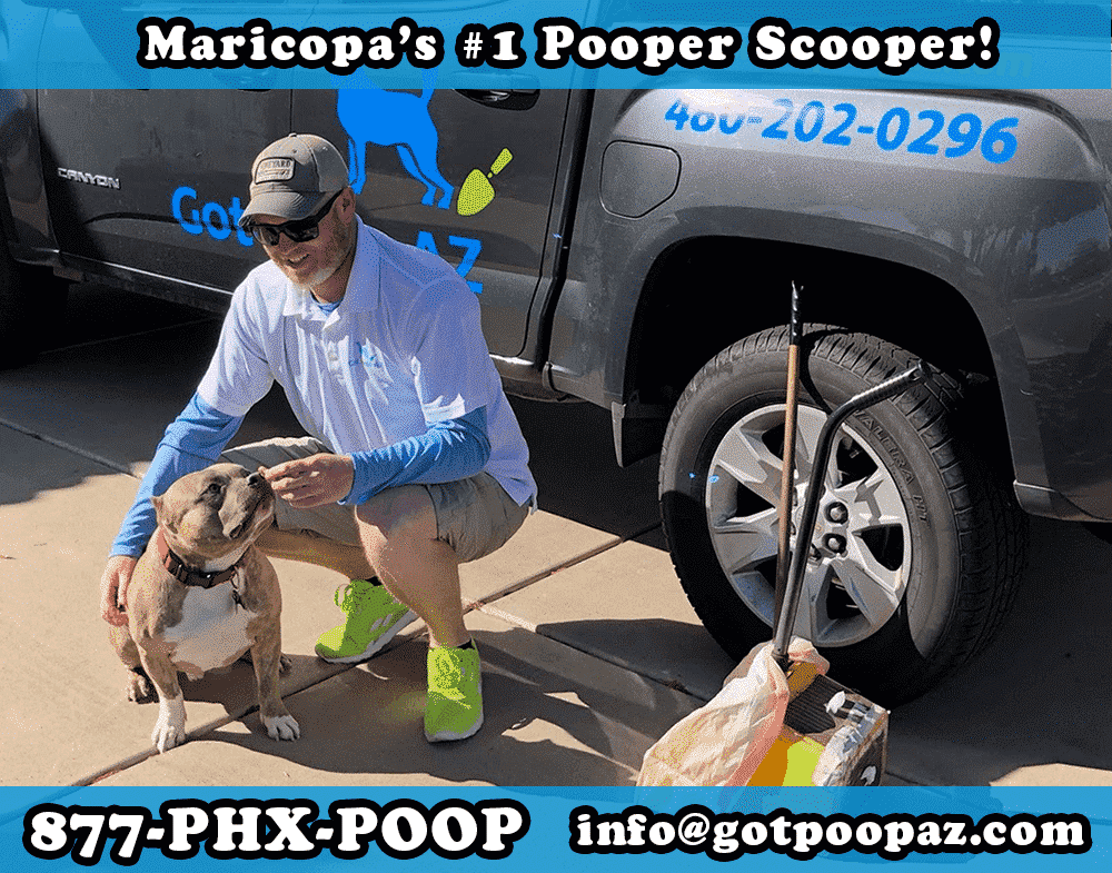 Maricopa Dog Poop Service | Got Poop AZ