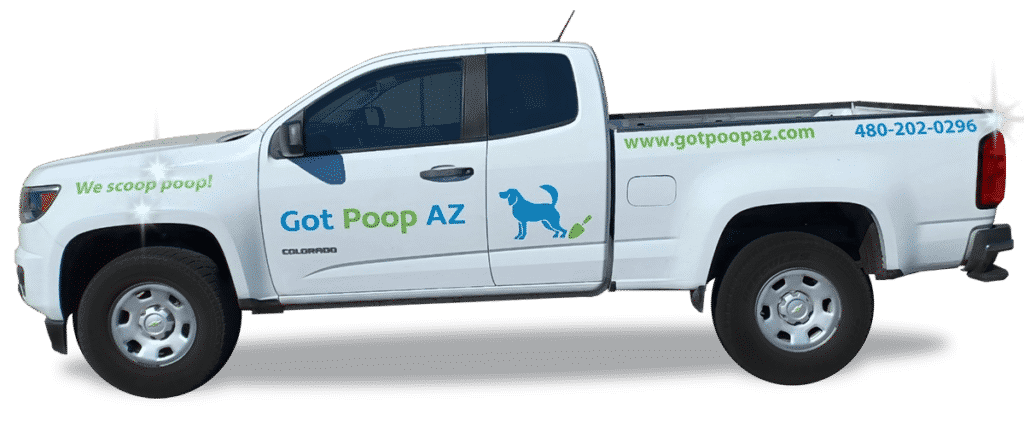 Poop Pickup Service Dog Poop Removal & Clean Up Service Sun Lakes | First Clean Up FREE