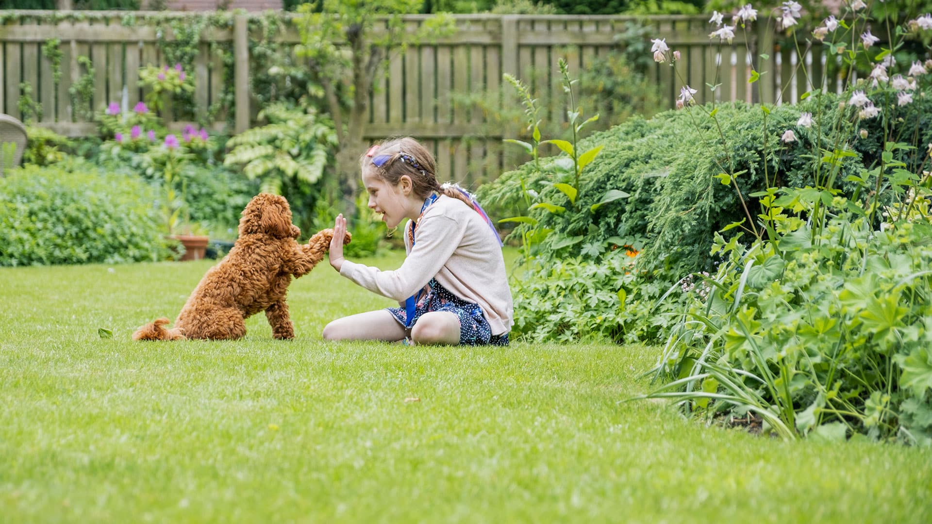 benefits of hiring a residential pooper scooper service