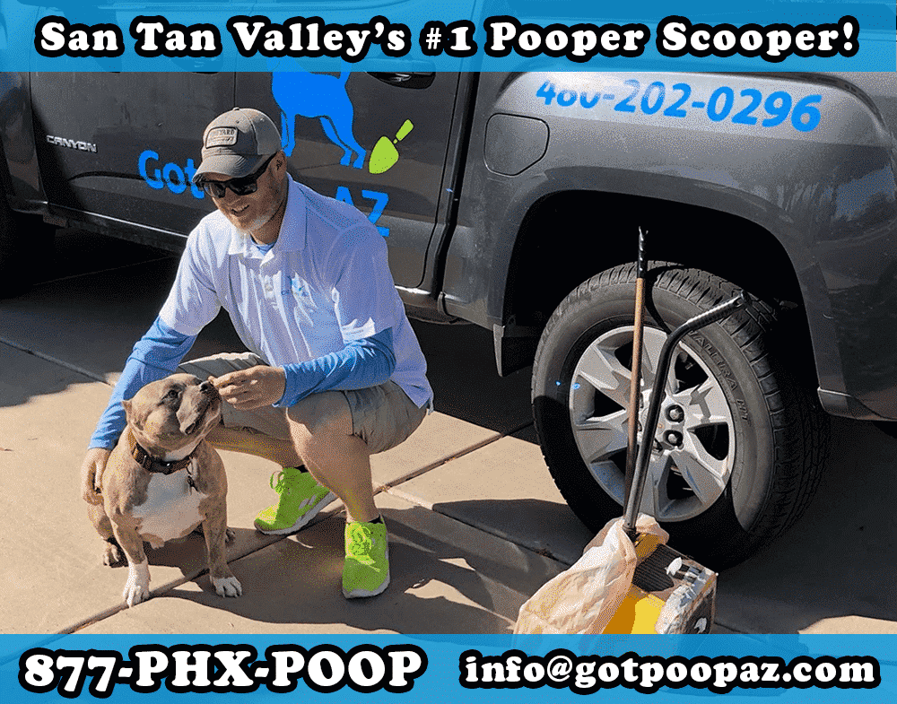 San Tan Valley Dog Poop Pick Up | Got Poop AZ (877) PHX-POOP
